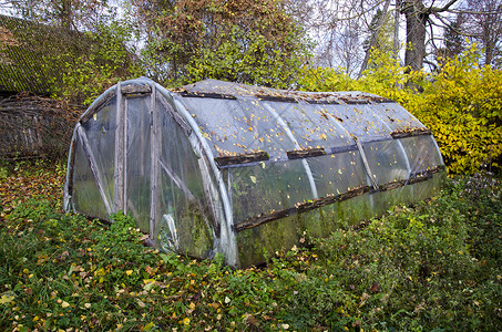 废弃塑料秋天农场花园中的旧原始塑料温室背景