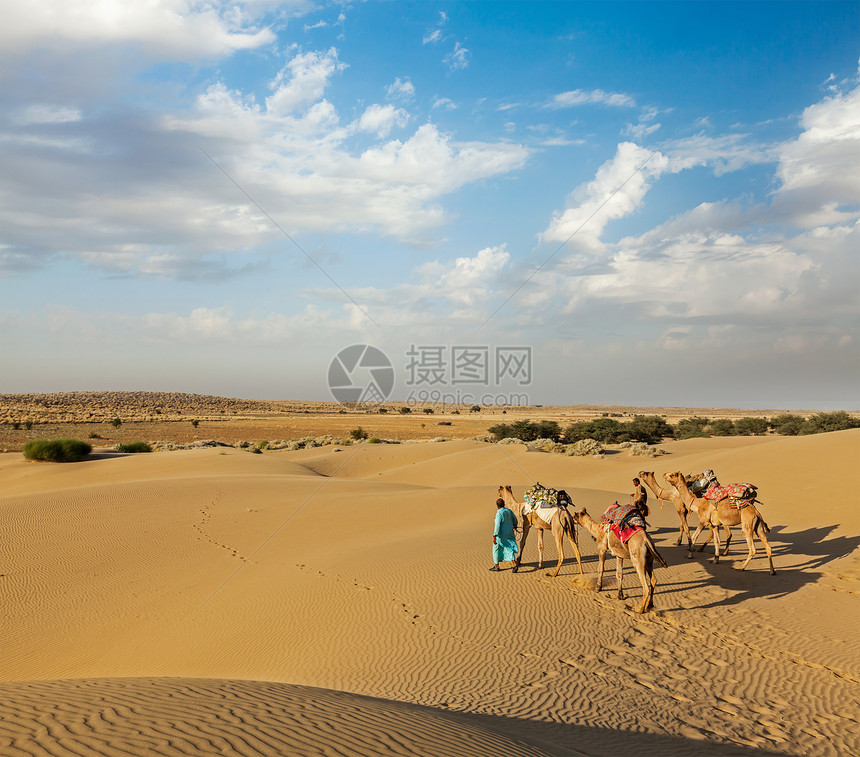 在Thar deser的沙丘中 两名骆驼骑手骆驼司机旅行观光异国坦邦男性沙漠运输情调骆驼夫旅游图片