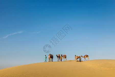 在Thar des的沙丘有三名骆驼骑着骆驼的cameleers(骆驼司机)背景图片