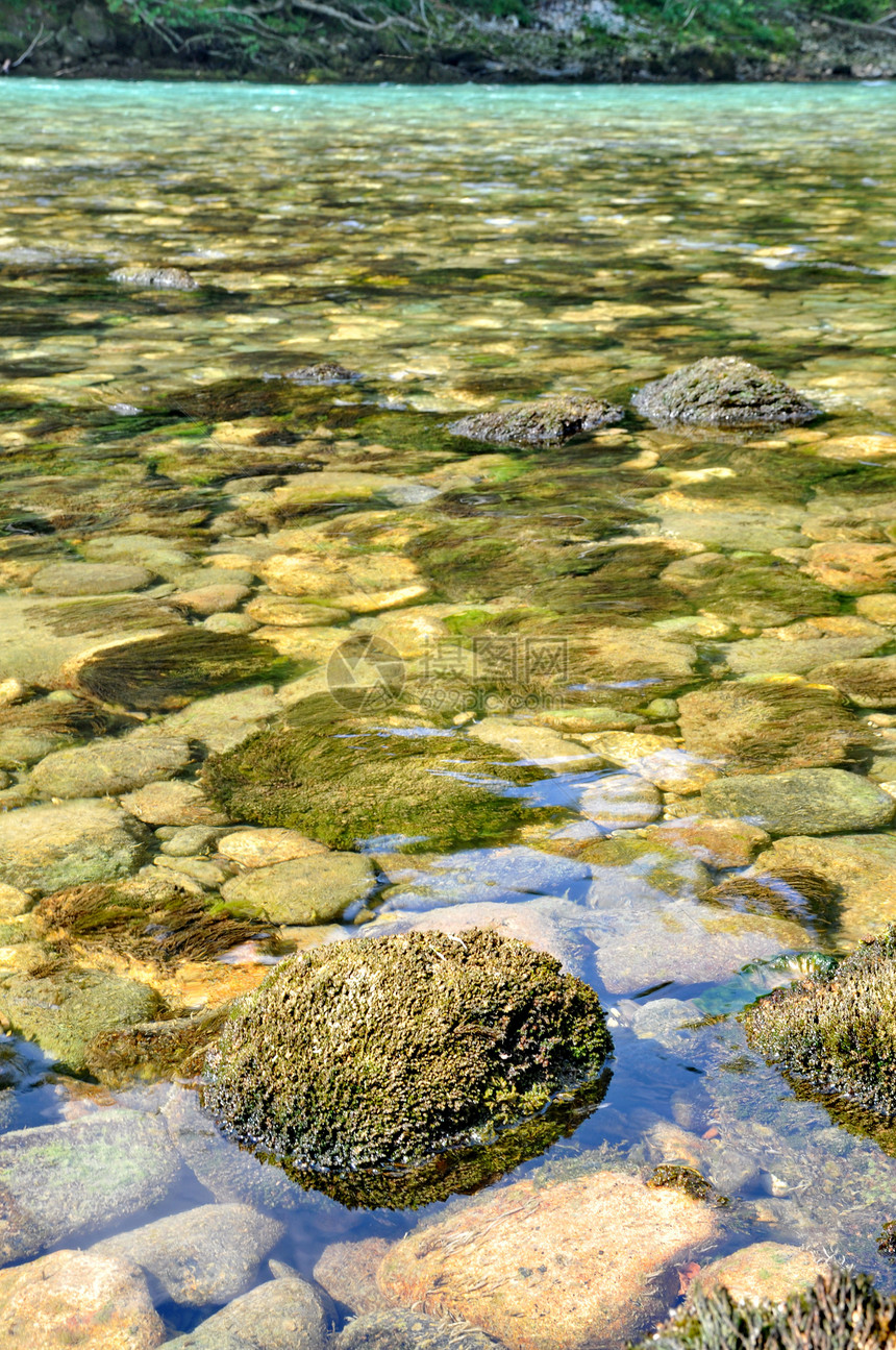 绿石在水中远足公园溪流岩石苔藓季节流动植物环境图片