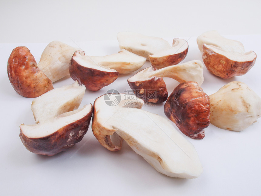 波西尼蘑菇美食常委营养食物包子图片