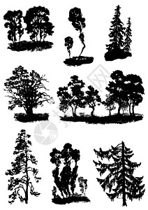 各种矢量树背景图片