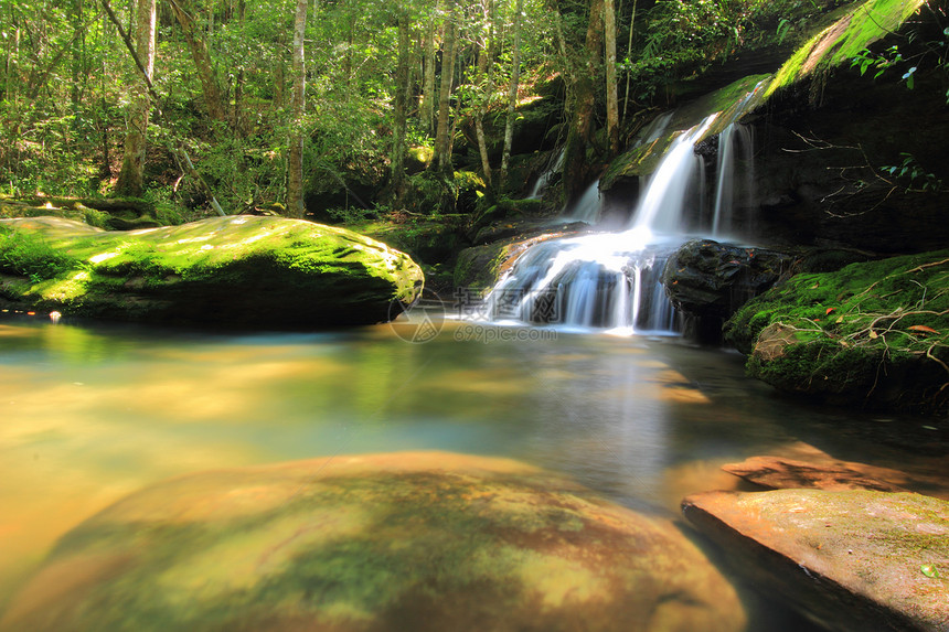 瀑布森林场景气候风景热带地标国家绿色植物岩石图片