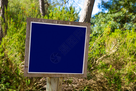 地中海松树林中的蓝轨巴兰克标志高清图片
