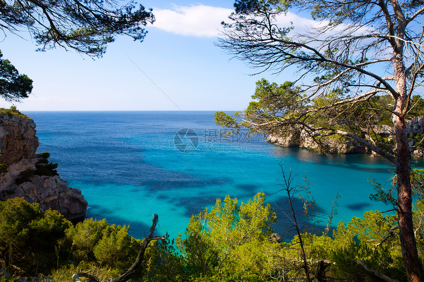 松绿的Balearic地中海树木海岸线蓝色海岸支撑石头地标旅行太阳海滩图片