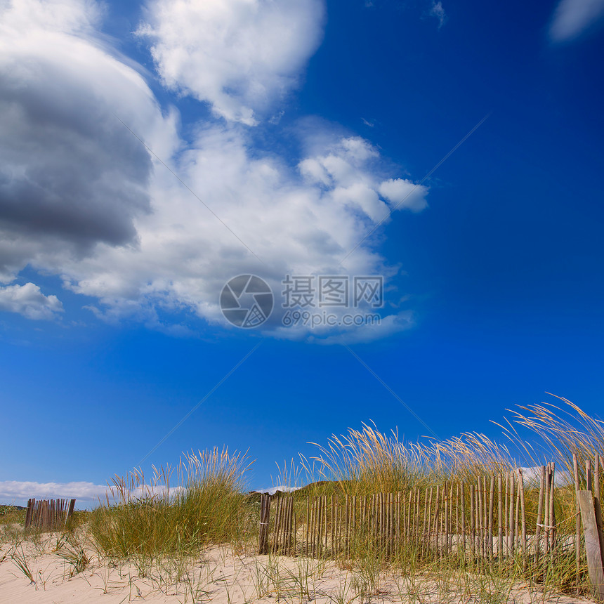 巴利阿里奇Menorca沙丘的旅行天空假期荒野海岸衬套蓝色支撑植物太阳图片