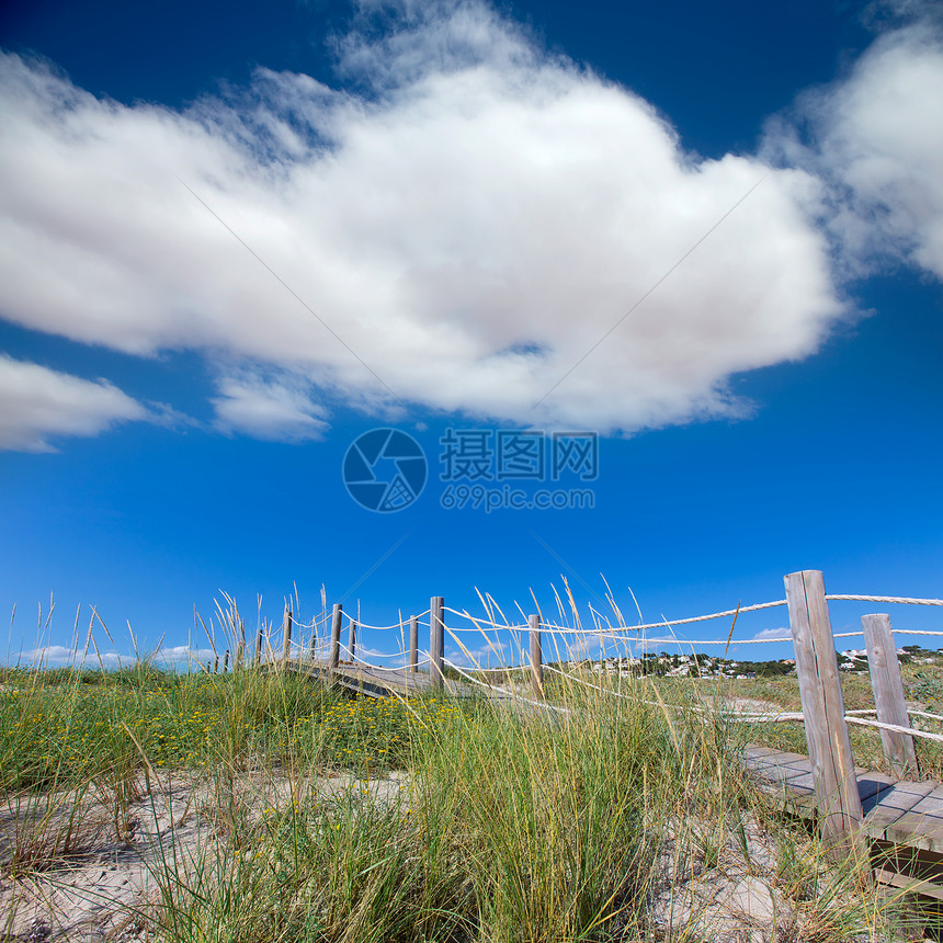 巴利阿里奇Menorca沙丘的海滩荒野太阳栅栏海景晴天花朵旅行海洋蓝色图片