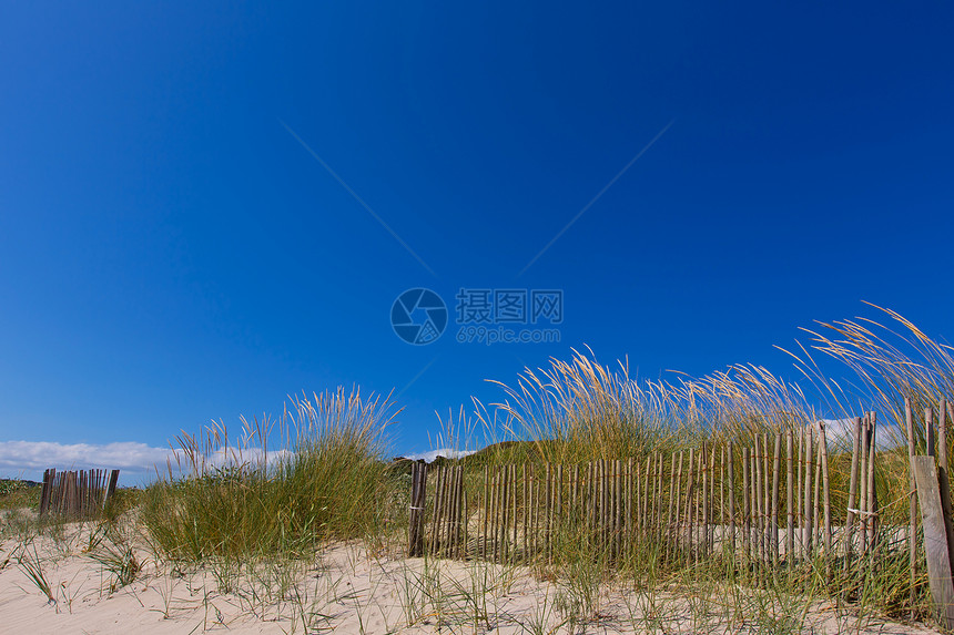 巴利阿里奇Menorca沙丘的衬套花朵蓝色太阳晴天海岸海岸线栅栏海洋地标图片