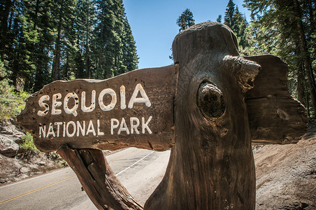 红杉国家公园塞哥亚标志牌背景
