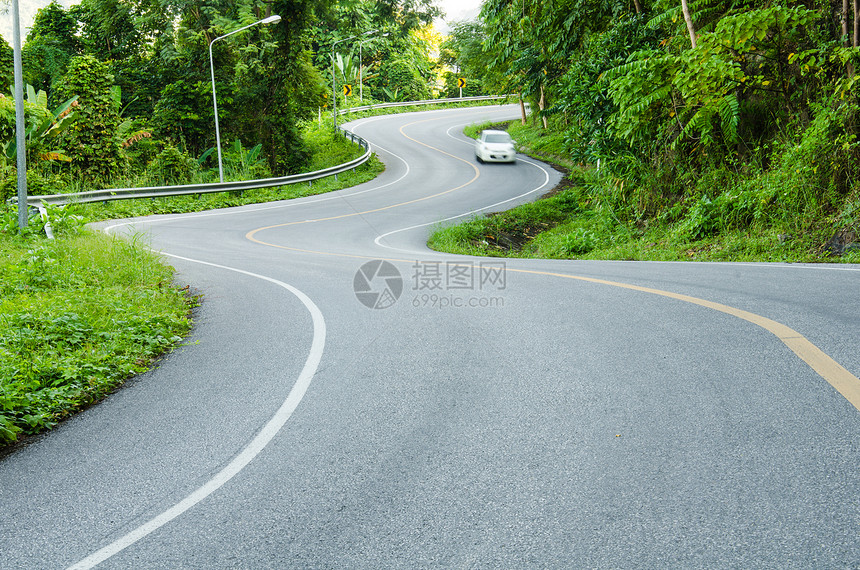 路 S 形状森林速度树木绿色小路白色运输木头曲线驾驶图片