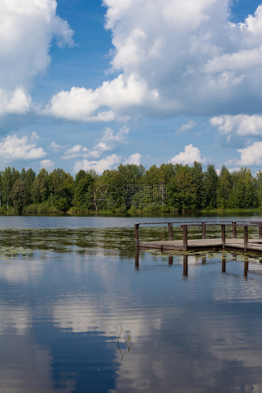 湖湖景观植物群蓝色天空芦苇反射木头舷梯晴天绿色白色图片