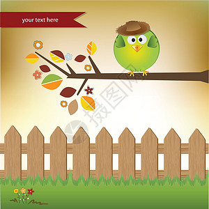 可爱的小男孩小鸟玩具绿色互联网乐趣帽子男生翅膀喜悦插图野生动物背景图片