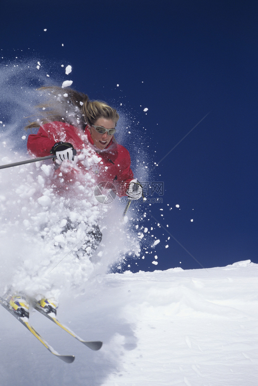 滑雪者在滑雪坡的粉雪中滑雪滑雪板休闲成人旅行粉状闲暇行动中年人粉末冒险图片