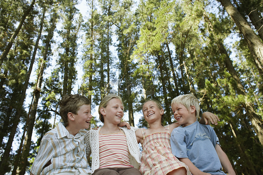 4名儿童(7-9名)坐在低森林角度图片
