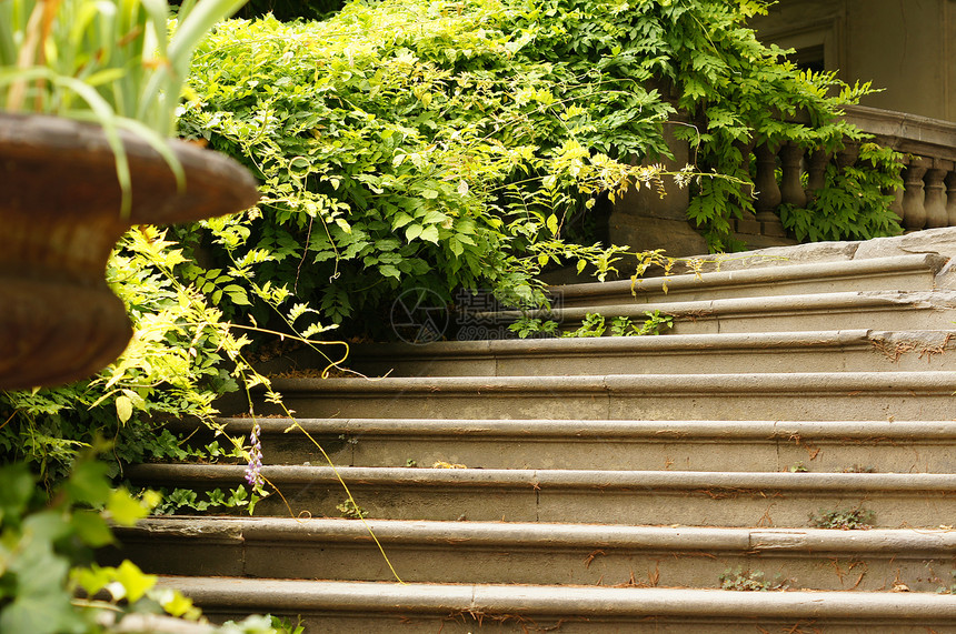 总督府宫花园绿色建筑学楼梯城市街道大理石图片
