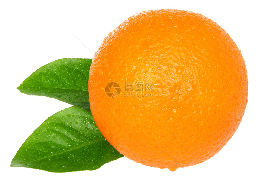 橙色水果橙子食物图片
