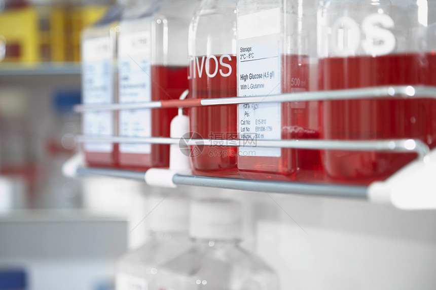 在实验室的架架上查封红色化学品图片