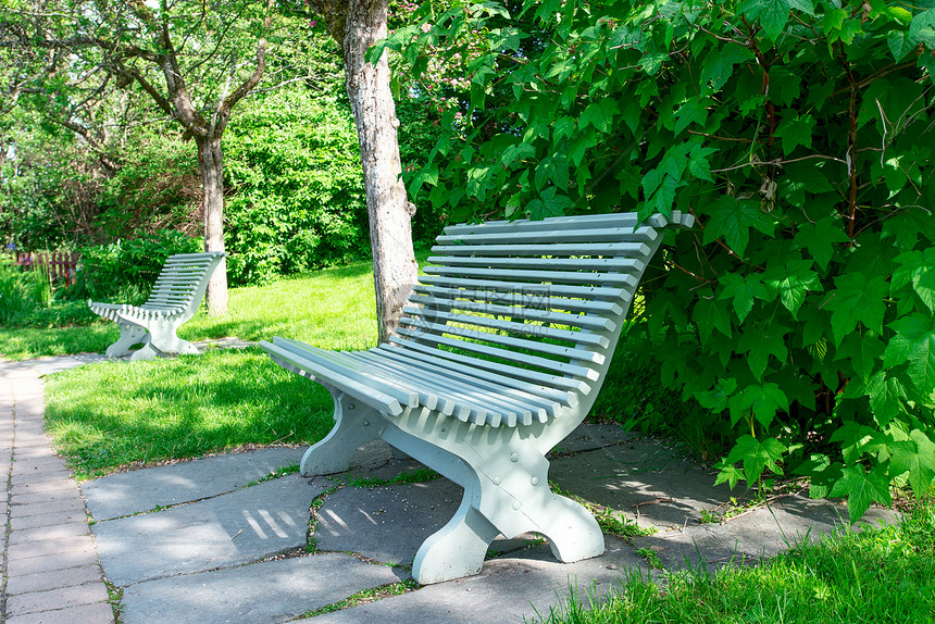 夏季木林公园长椅图片