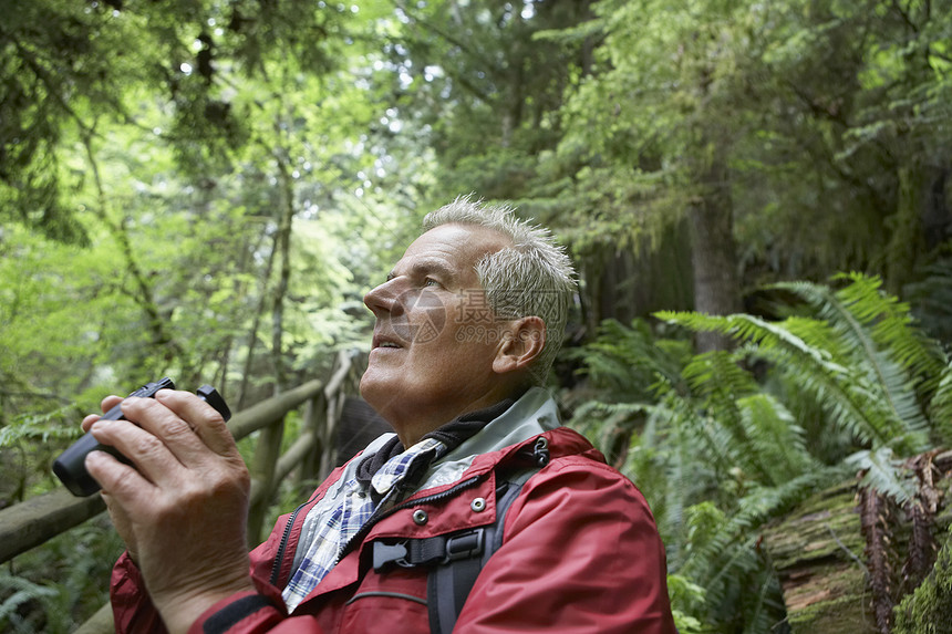 林中高年男子在森林里寻找 手持双目望远镜图片