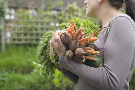 在花园的中间侧角视野中 持有蔬菜的女性农产品一人休闲收藏前景健康饮食摄影拨款农业服装背景图片