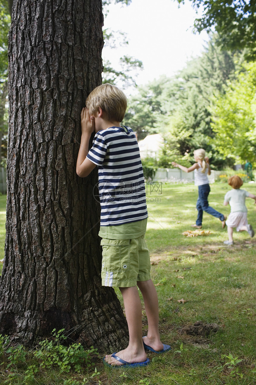男孩站在树上 眼睛像儿童在幕后奔跑一样被蒙着眼睛图片