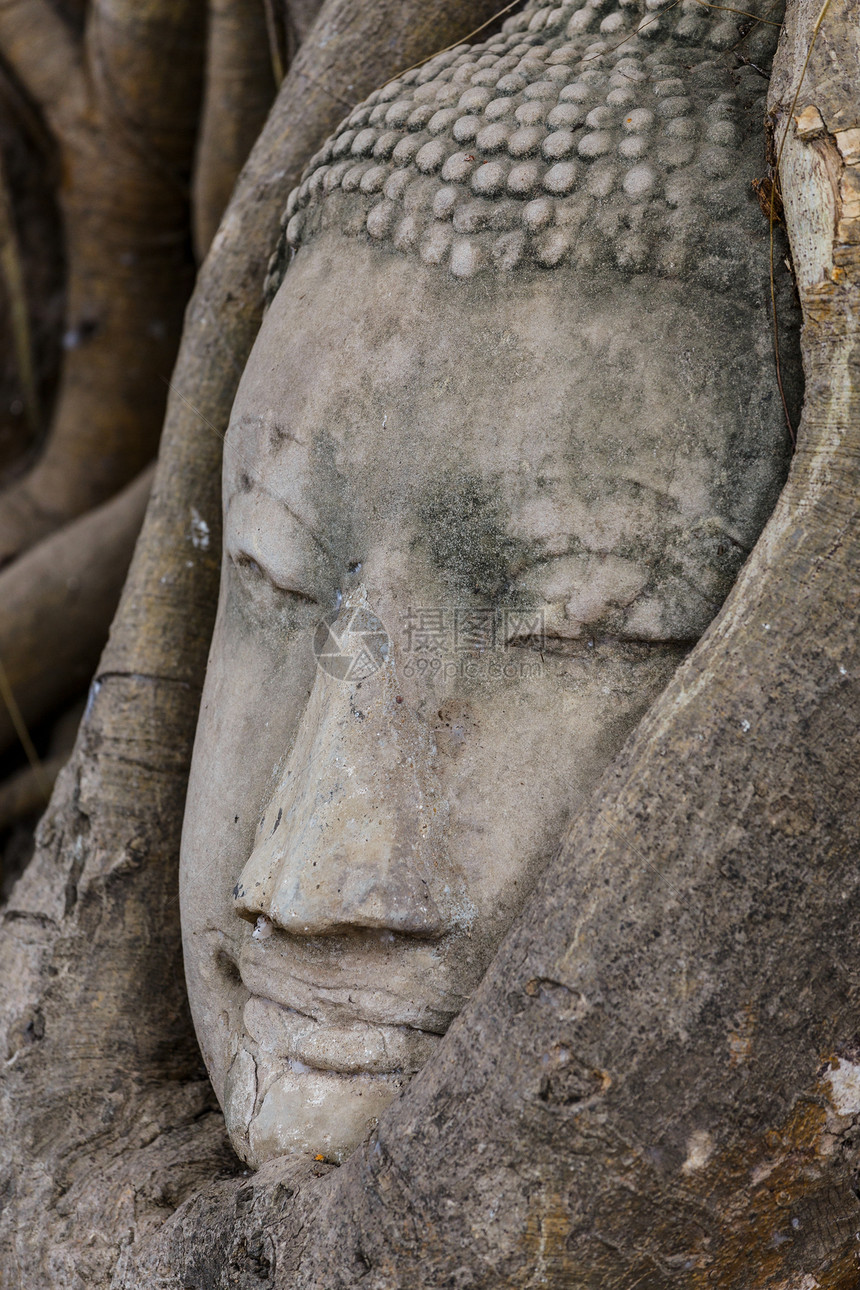 在阿尤塔亚的布谷树上佛头宗教树根废墟文化地标精神数字雕塑榕树树干图片
