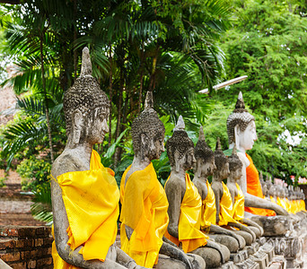 斯莱杜佛斯亚洲泰国高清图片
