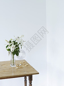 表格高视图上的花瓶中的白色百丽背景图片