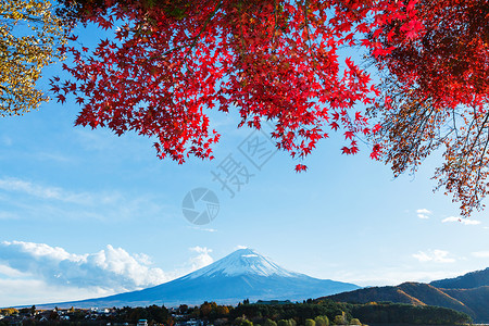 秋秋藤山红假草原红树芦苇红色枫树杂草公吨花园火山背景图片