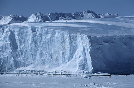 南极洲冰架冰山与企鹅皇帝高清图片