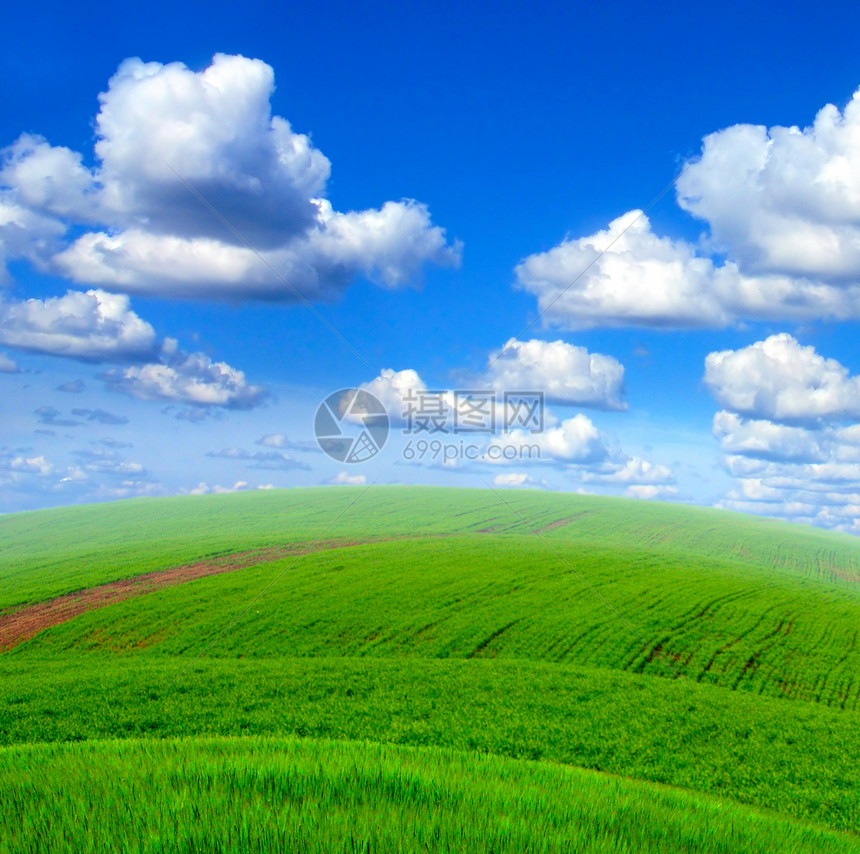 夏季风景场地地平线环境爬坡乡村小丘太阳土地天空绿色植物图片