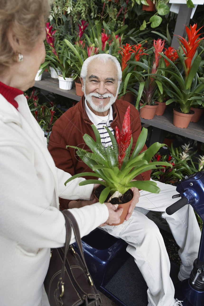 在植物园从妇女手中抢花卉的汽车摩托车上对老年残疾男子的肖像;图片
