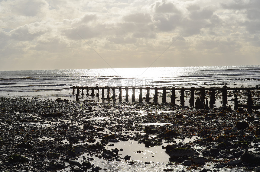 沿海断流水海景海岸反射阳光木头避风港障碍黄瓜防御海滩图片