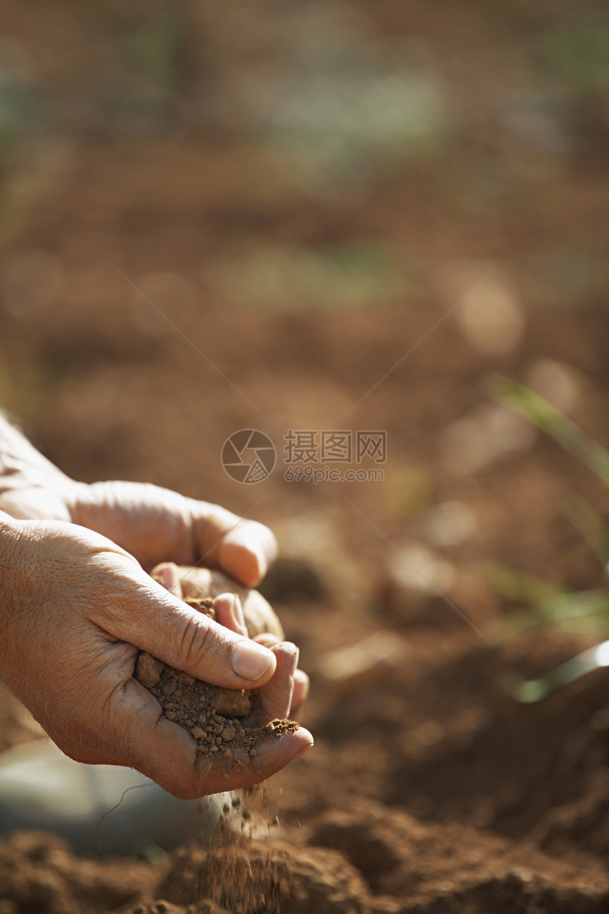 特写农民手中在农田肥沃的土地上拥有土壤的手图片