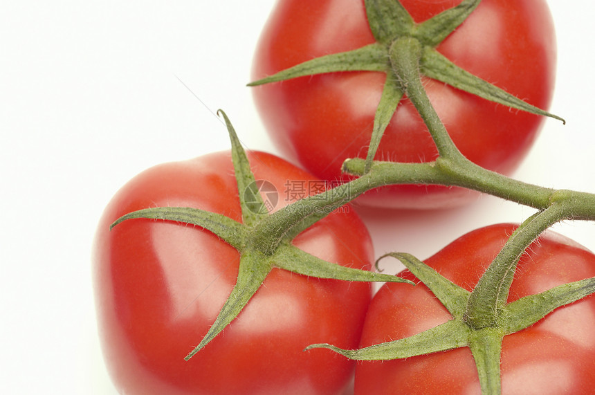 清红红西红番茄 绿葡萄树 白底隔离于白底图片