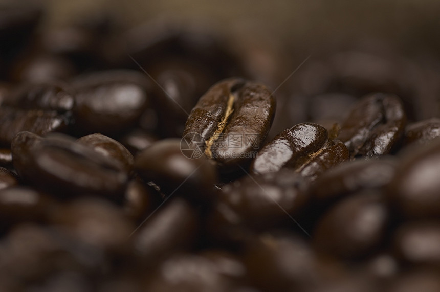 新鲜咖啡豆详细拍摄照片图片