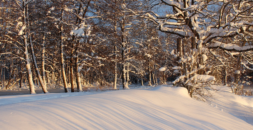 冬季风景白色景观山脉池塘天空树木雪花薄片农村蓝天图片