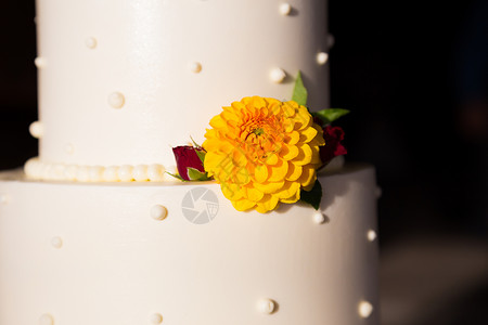 结婚蛋糕细节派对结婚日甜点糖果食物白色婚礼婚宴接待花朵背景图片