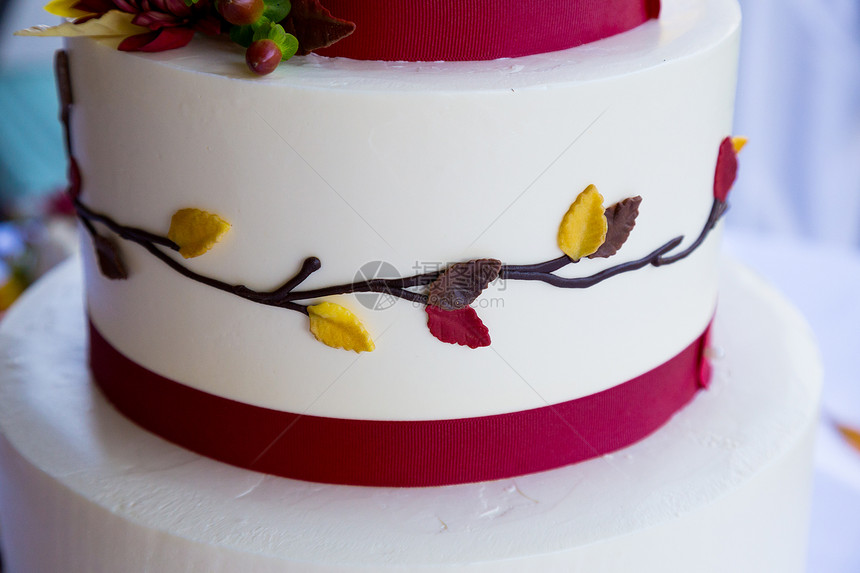 结婚蛋糕细节结婚日白色派对婚宴食物接待甜点婚礼糖果图片