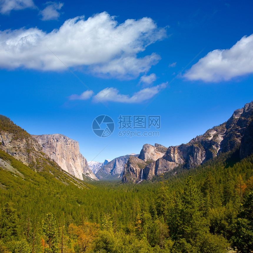 加利福尼亚的和半穹顶红杉假期酋长石头马尾森林编队天空世界遗产蓝色图片