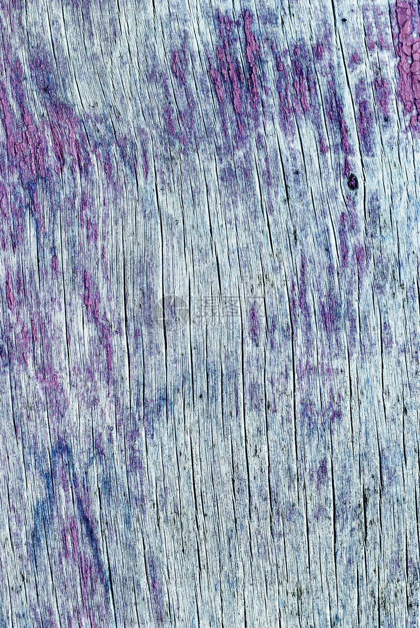 旧油漆木材的纹理环境宏观皮肤松树植物紫色森林木制品腐蚀树干图片