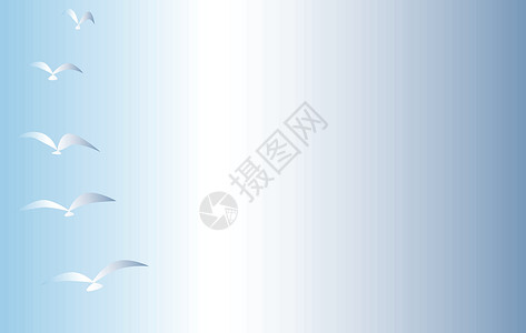 天空与鸟飞行绘画翅膀机翼蓝色褪色羽毛海鸟白色阴霾背景图片