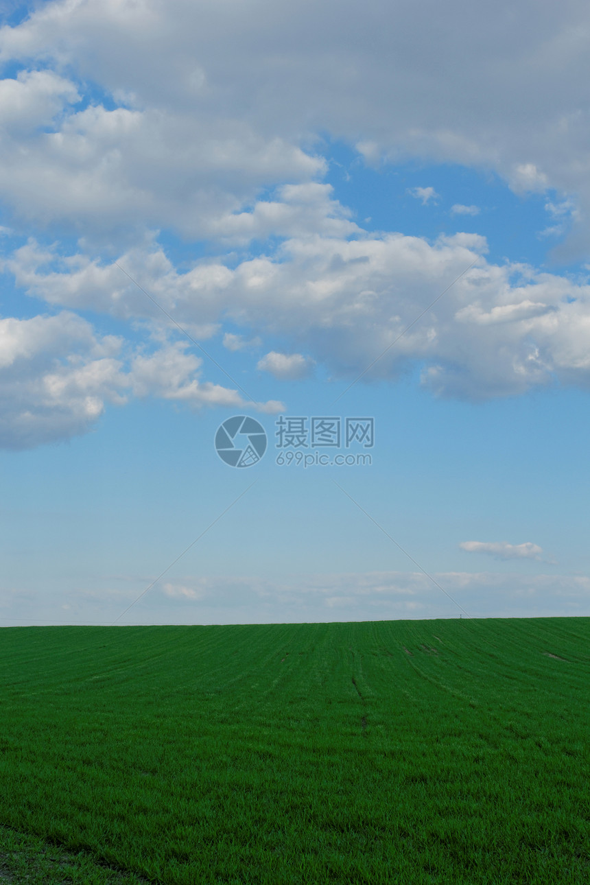 蓝云天空下的小麦田植物土地农场天空环境农田天气草原场景草地图片