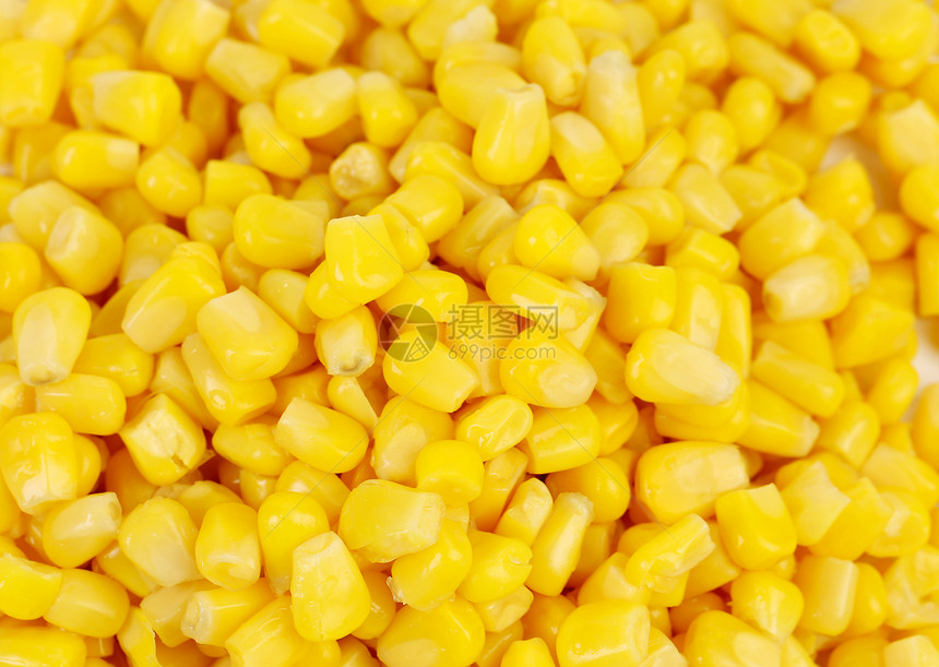 近乎玉米的谷物商品收获食物蔬菜团体种子活力植物内核茶点图片