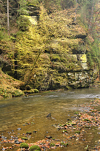含有石头的秋季河蓝色运动溪流海浪风景森林场景流动岩石荒野背景图片