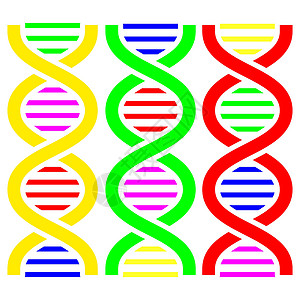 糖核酸DNA符号 矢量插图边界科学染色体化学生物学技术药品蓝色螺旋青色插画