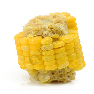 吃玉米粮食种子植物横截面蔬菜食物谷类背景图片