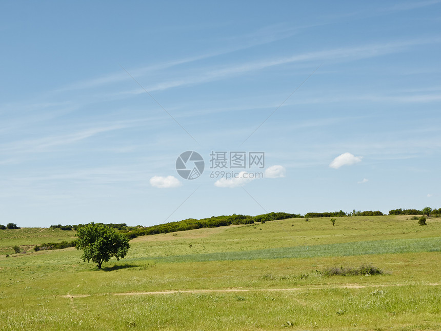 树木和云彩绿色天空蓝色草地图片