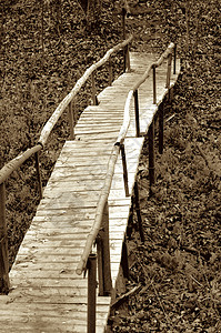 定命桥木脚桥白色田园风光自然目的地灰色树木调子旅行棕色背景