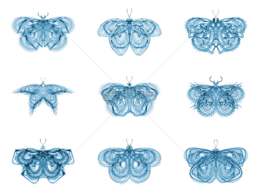 象形分形蝴蝶蓝色几何学设计生物学渲染漏洞装饰品宏观条纹数学图片